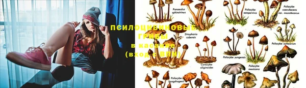MDMA Premium VHQ Абинск