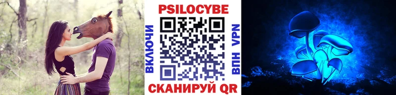 Псилоцибиновые грибы GOLDEN TEACHER  как найти   Владикавказ 