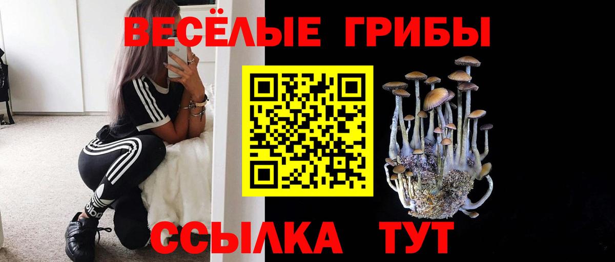 Псилоцибиновые грибы Psilocybine cubensis Владикавказ